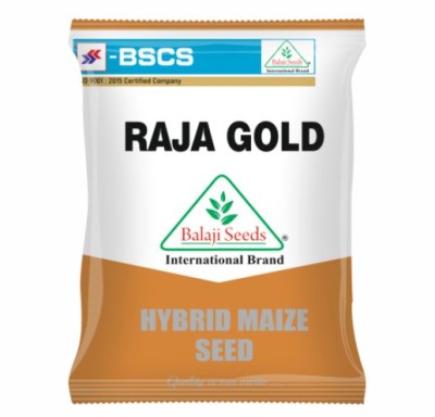 RAJA GOLD